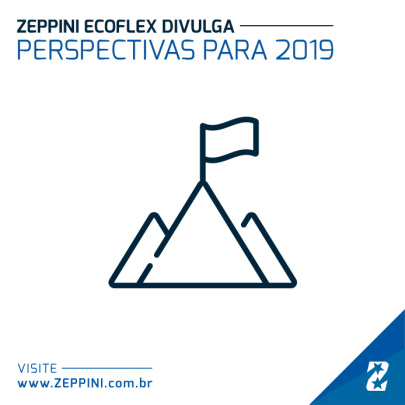 17012019 - Zeppini Ecoflex divulga perspectivas para 2019
